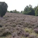 Wahlers Σπίτι διακοπών Bispingen