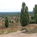 Wahlers Σπίτι διακοπών *